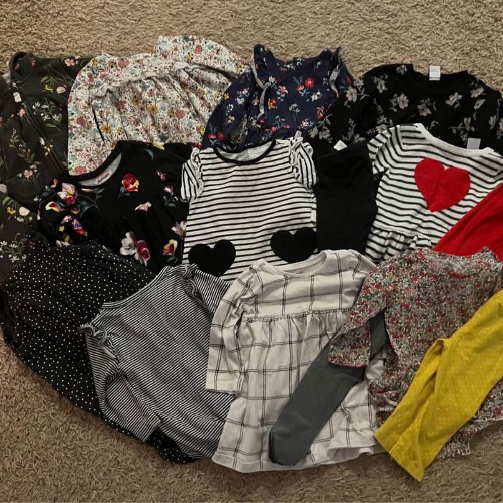 Baby Girl Fall Clothes Lot - 9 months
